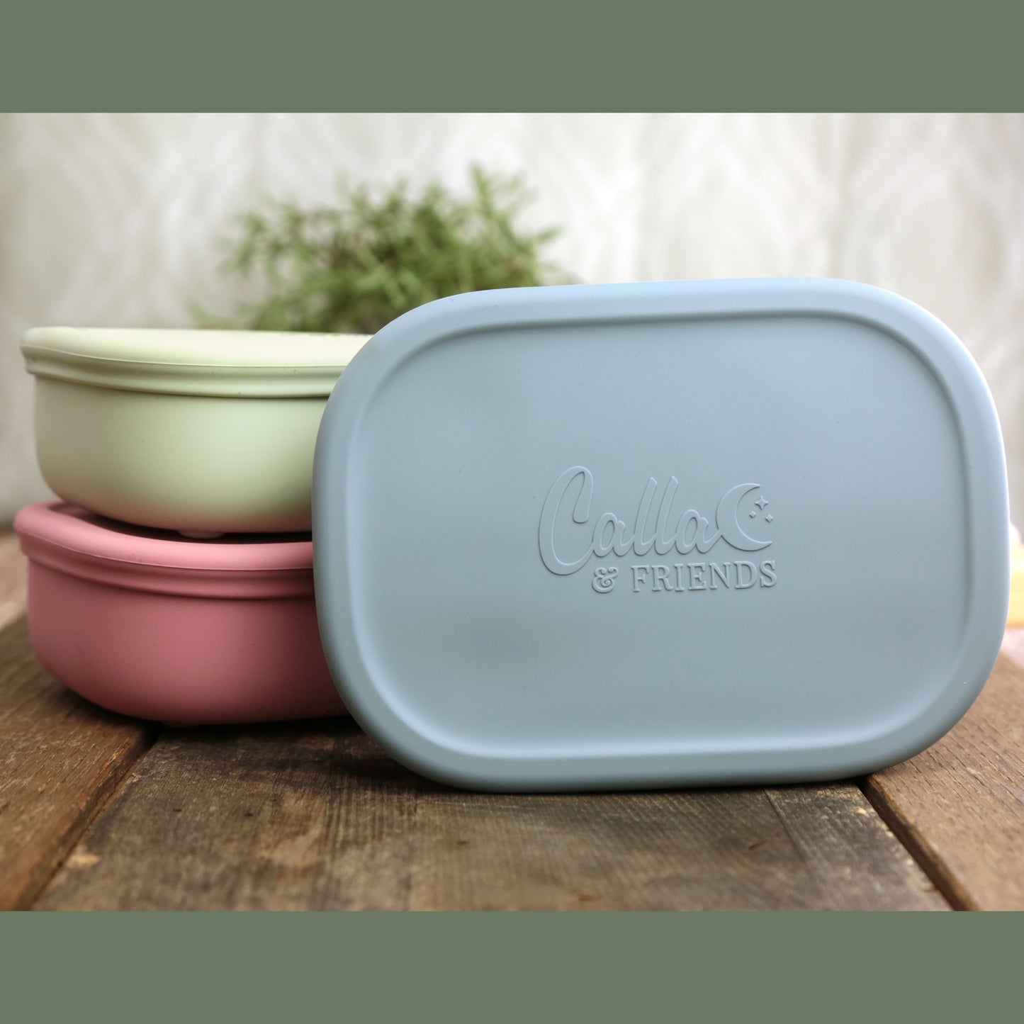 Bento Box