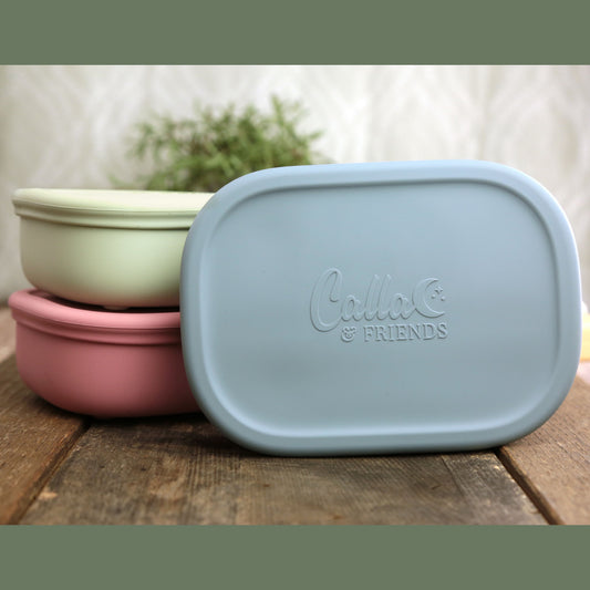 Bento Box