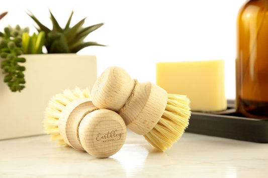 dish-brush